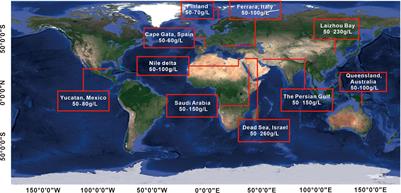 Groundwater salinization under the influence of paleo sea-level fluctuation: a case study in southern Laizhou Bay, China
